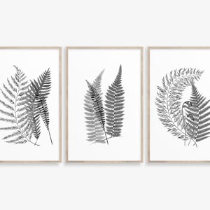 Black and White Vintage Botanical Art Prints, Fern Leaf Abstract Botanical Print, Modern Printable Art, Fern print set of 3