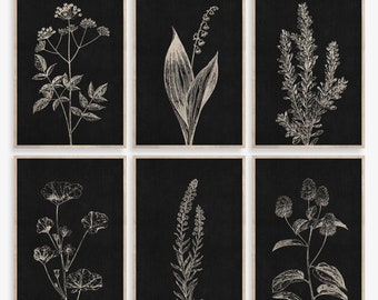 Botanische Drucke, 6er Set, schwarze botanische Wandkunst, dunkler Hintergrund, Vintage Druck, Bauernhaus Dekor, druckbare Kunst, Wilde Blume