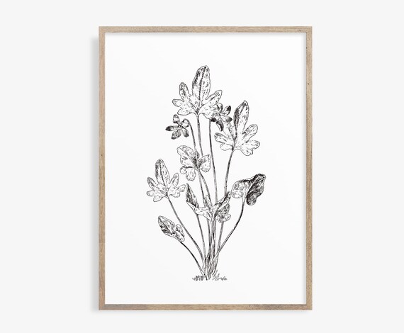 Botanical Print Black and White Printable Wall Art | Etsy