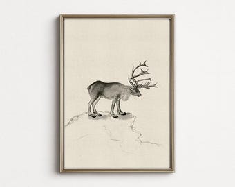 Minimalist Nordic Reindeer Drawing | Wildlife Wall Art | Monochrome Nature Illustration