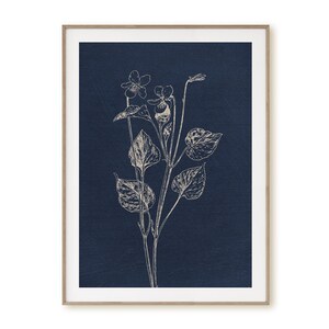 May include: A white line drawing of a violet flower with leaves on a dark blue background.