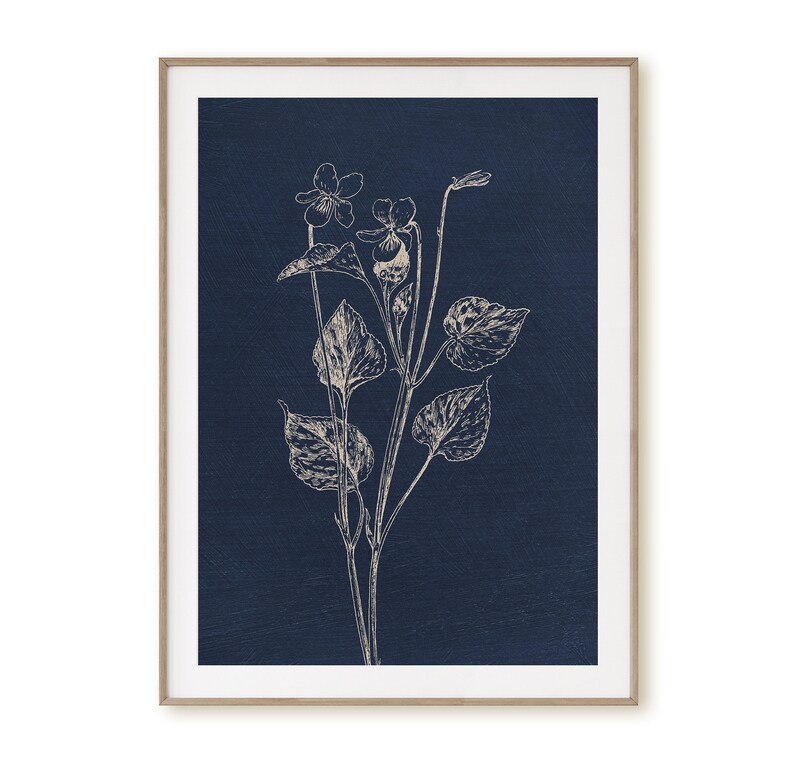 May include: A white line drawing of a violet flower with leaves on a dark blue background.