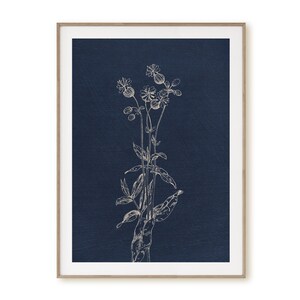 May include: A white line drawing of a flower with a dark blue background.