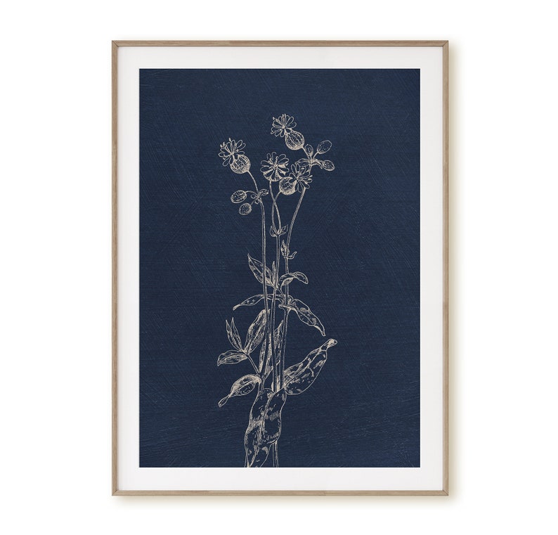 May include: A white line drawing of a flower with a dark blue background.