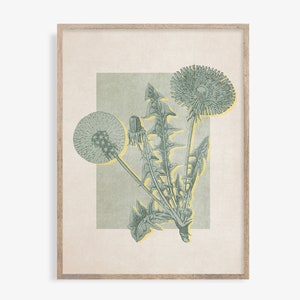 dandelion print, Botanical Print, Green Gallery Wall art, Sage green wall art, Wild Flowers Printable Art,