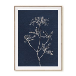 May include: A white line drawing of a flower with leaves on a dark blue background.