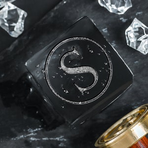 Branding Stamp for Ice Cubes, Personalized Ice Cube Stamp,Custom Ice stamp for bar,Ice Cube Burning,Personalized Ice Stamp.