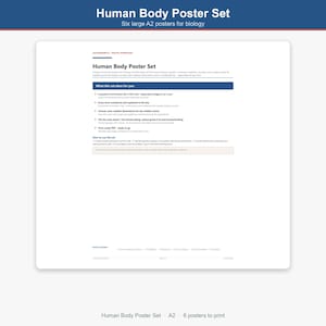 Könnte beinhalten: Ein digitales Dokument mit dem Titel Human Body Poster Set, das sechs großformatige A2-Poster für die Biologie enthält. Der Text beschreibt Details für 42 x 59,4 cm große Drucke, inklusive nummerierter Schlüssel für Skelett, Muskeln und Organe.