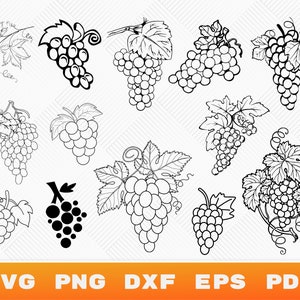 Vine Svg, Grape Leaves SVG, Grape Clipart, Grape Silhouette, Fruit Svg, Vine Clipart, Svg files for Cricut
