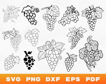 Grape Svg & Png, Fruit Clipart, Wine Svg, Grape Silhouette Vector, Fruits Svg, Grape Svg Bundle, Cricut Cut File, T-Shirt Svg