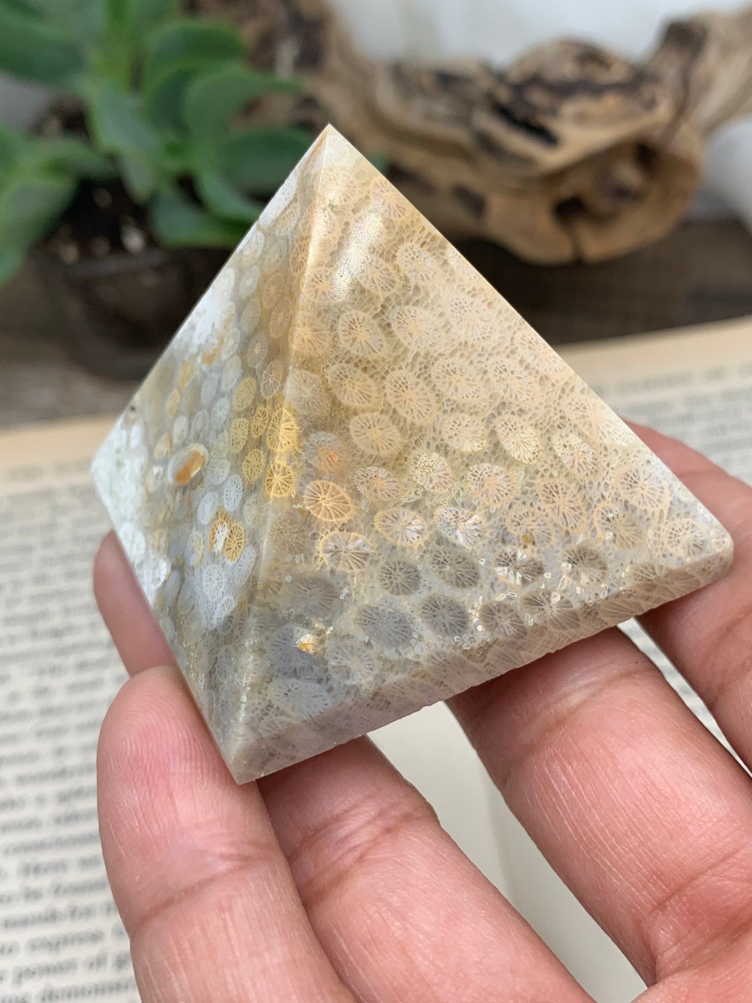 Coral Jasper Coral Jasper Towers Fossils Fossil Jasper Etsy