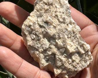 Natural Smoky Quartz in Feldspar • Graphic Granite • Natural Crystals • Raw Crystal Specimen • Rough Crystals