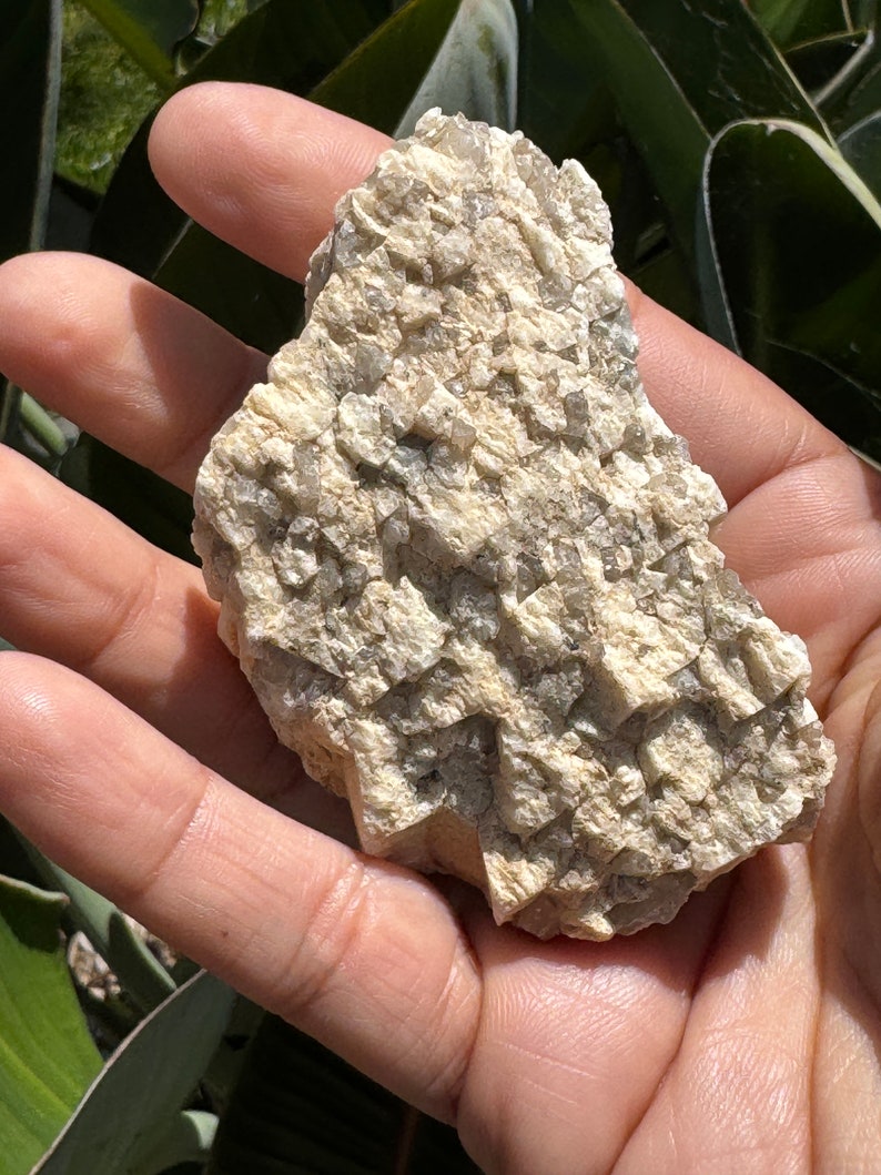 Natural Smoky Quartz in Feldspar Graphic Granite Natural Crystals Raw Crystal Specimen Rough Crystals image 1