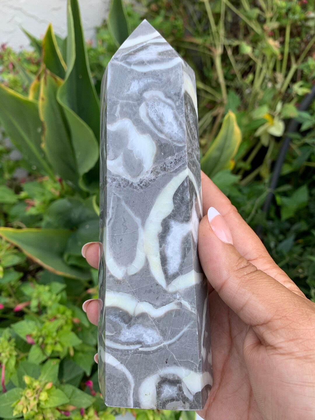 1000 Eye Jasper Thousand Eye Jasper Shell Jasper shell Jasper Crystal