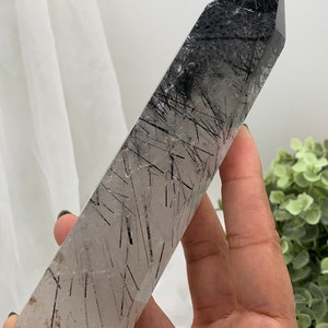 Black Rutile in Quartz • Black Rutilated Quartz Towers • Black Rutile in Quartz Points • Rutile • Rutilated • Black Rutile in Clear Quartz •