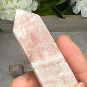 May include: A pale pink selenite crystal point with a smooth, polished surface. The crystal has a translucent appearance and shows natural striations.