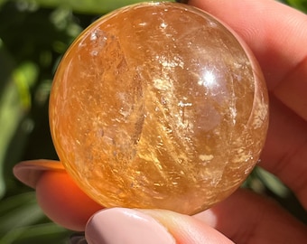 May include: A translucent, golden-orange sphere, possibly a crystal ball, held between fingers. The orb has internal patterns and a polished surface, reflecting light. The background is blurred green foliage.