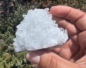 Clear Quartz Cluster • Chrysanthemum Quartz Cluster