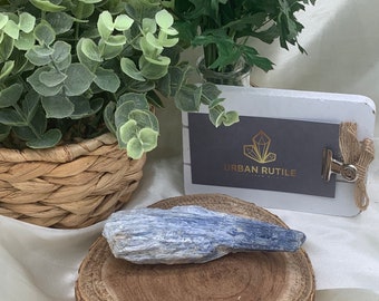 Blue Kyanite • Raw Blue Kyanite • Kyanite Specimen • Raw Crystals • Rough Blue Kyanite •   Blue Kyanite Specimen with Mica and Quartz