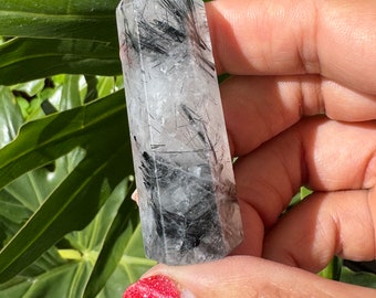 Petite tourmaline noire dans des tours de quartz clair • Tourmaline noire dans des pointes de quartz clair • Quartz tourmilaté • Tourmaline noire • Tourmalate