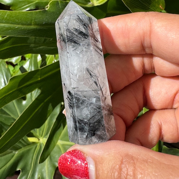 Baby Black Tourmaline in Clear Quartz Towers •  Black Tourmaline in Clear Quartz Points • Tourmilated Quartz • Black Tourmaline • Tourmalate