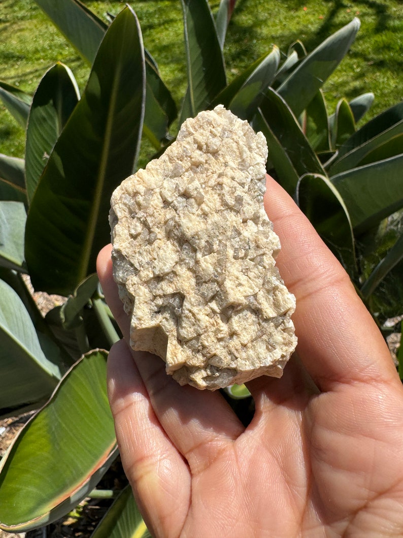 Natural Smoky Quartz in Feldspar Graphic Granite Natural Crystals Raw Crystal Specimen Rough Crystals image 3