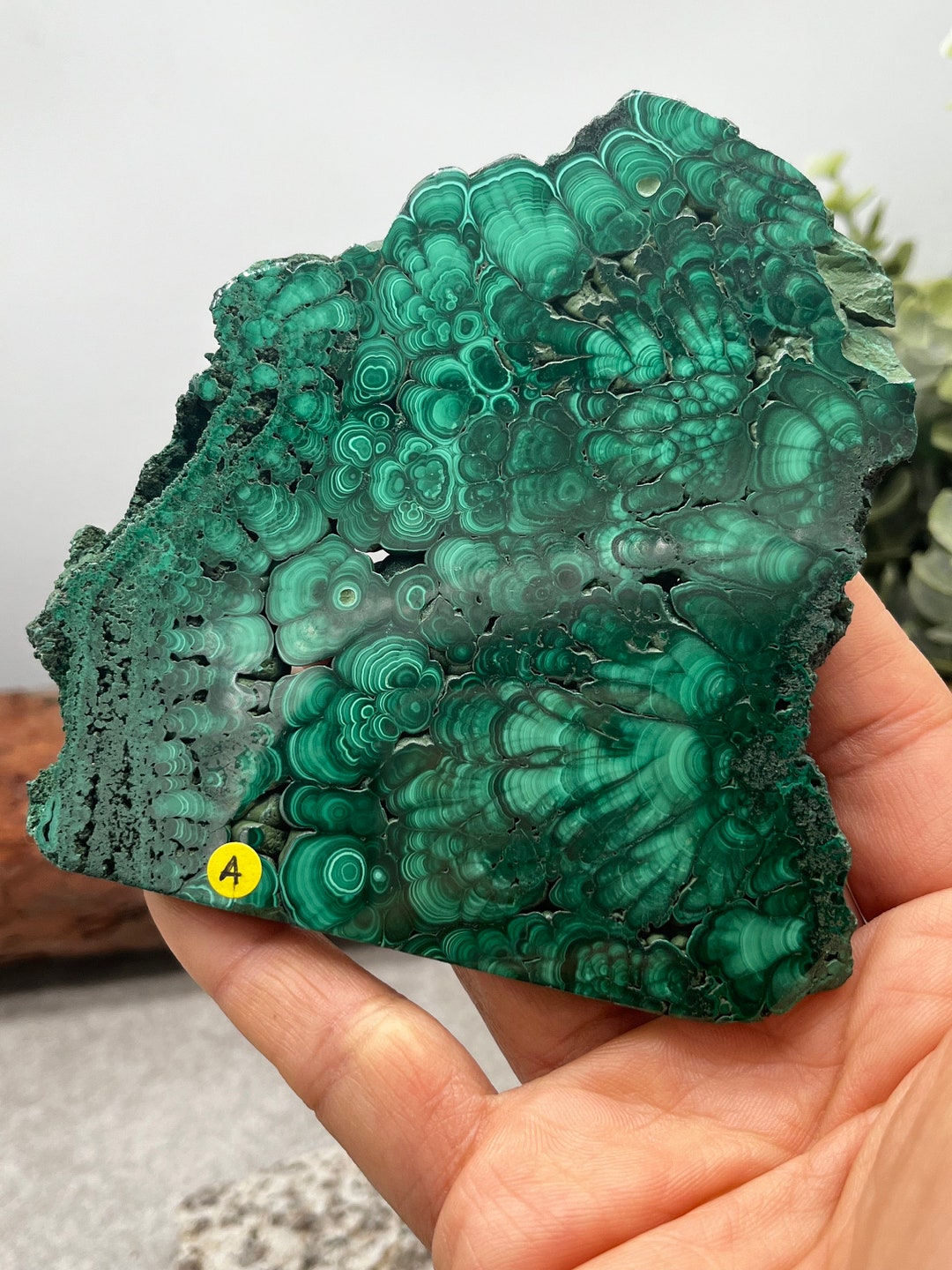 Natural MALACHITE Real Malachite Free Forms Genuine Malachite From