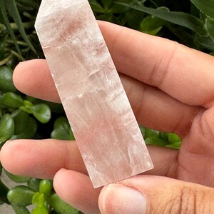 May include: A clear, translucent, white selenite crystal point with a pointed tip and a flat base. The crystal is smooth and has a slightly cloudy appearance.
