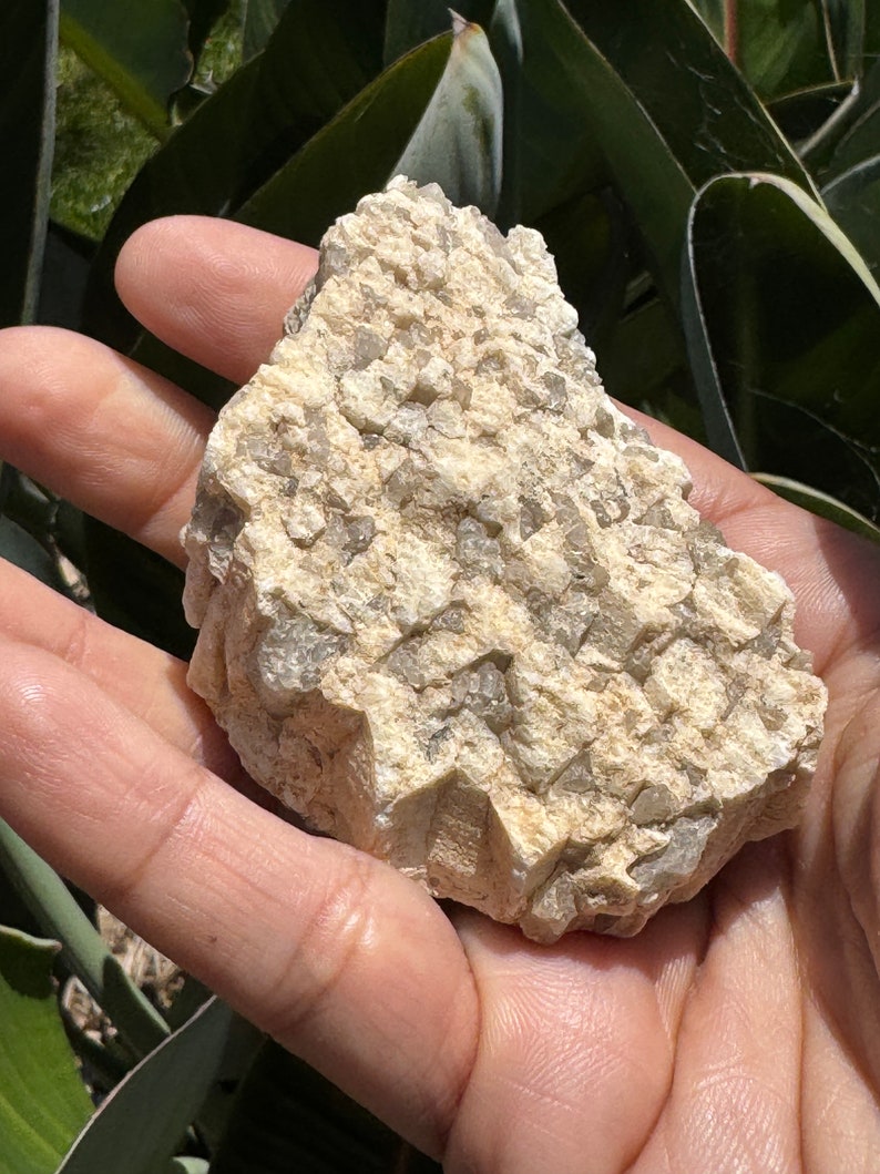 Natural Smoky Quartz in Feldspar Graphic Granite Natural Crystals Raw Crystal Specimen Rough Crystals image 7