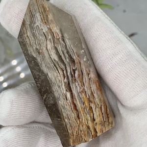 May include: A brown and white petrified wood point with a clear quartz crystal at the top. The point is about 4 inches long and has a natural, rough texture.