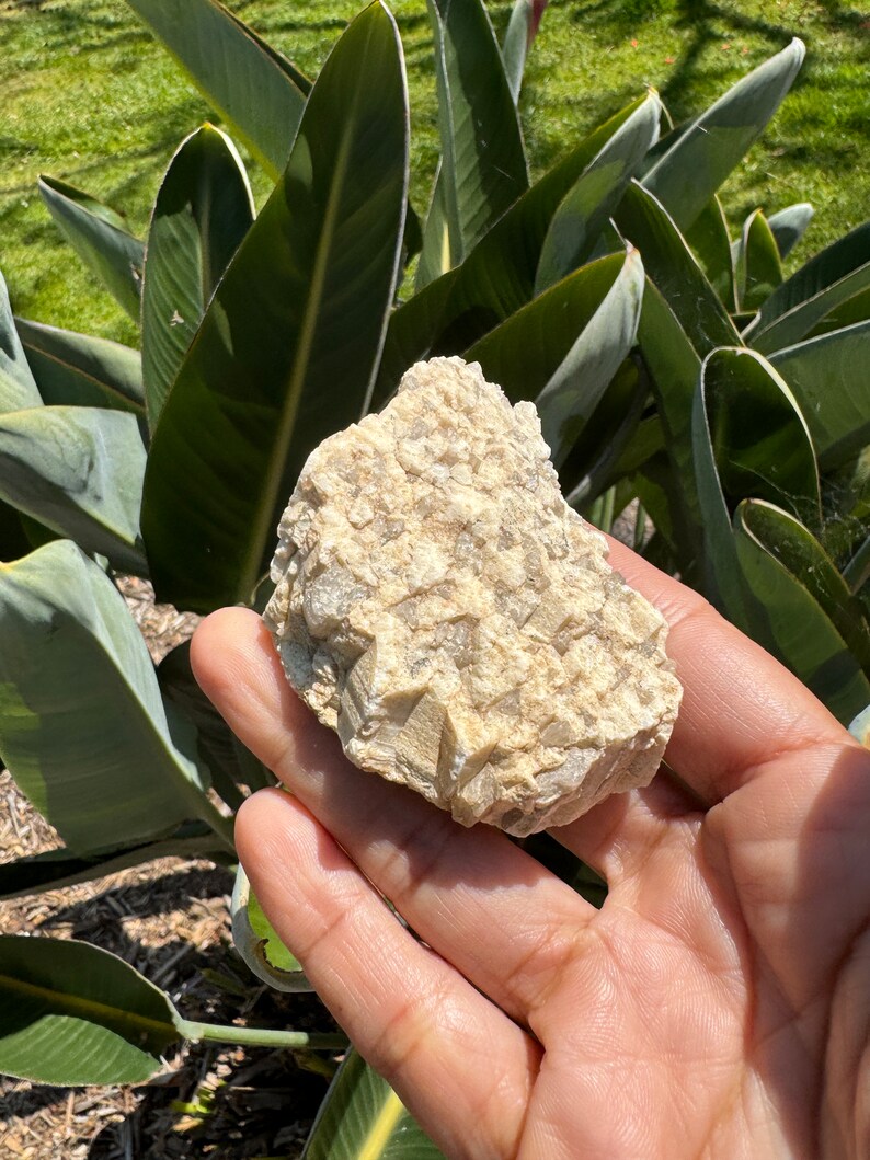 Natural Smoky Quartz in Feldspar Graphic Granite Natural Crystals Raw Crystal Specimen Rough Crystals image 9