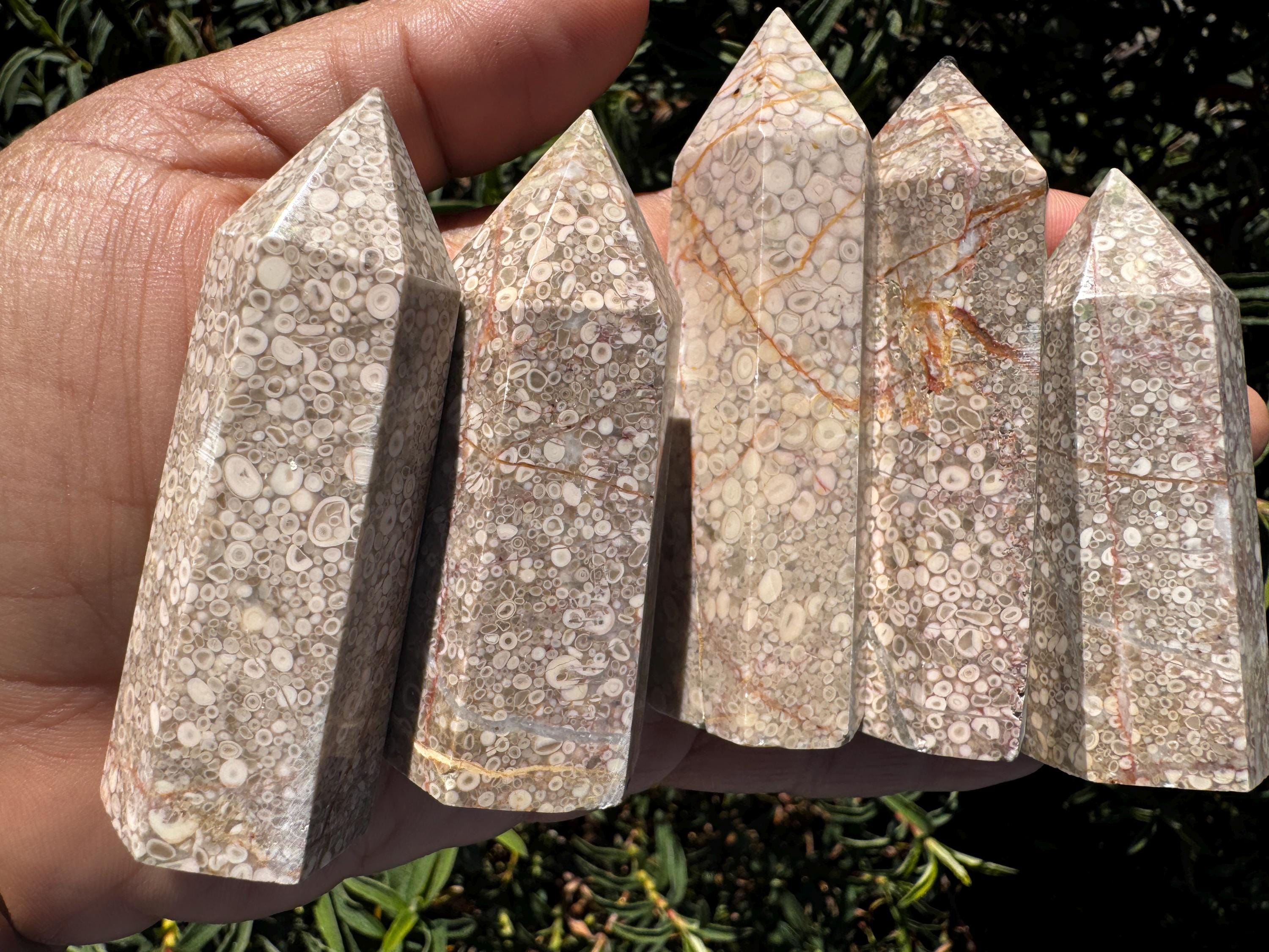 Fossilized Coral Jasper Tower • Coral Jasper • Coral Jade • Fossil