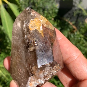 Elestial Quartz • Window Quartz • Elestial Quartz Crystal • 230 grams • Skeletal Smoky Quartz with Golden Healer • Rare Crystals •