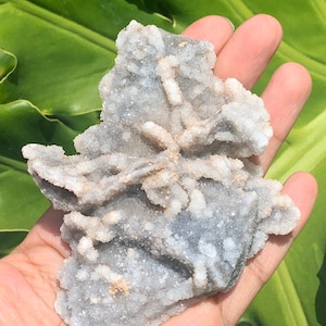 Apophyllite Crystals - Apophyllite Clusters - Druzy Apophyllite