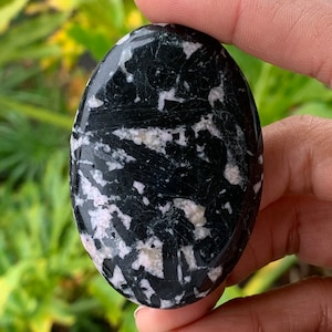 Black & White Tourmaline Palm Stones • Crystal Palm Stones • Palm Stones • Black White Tourmaline Touchstone • Palm Stones • Metaphysical