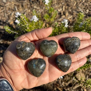May include: Five heart-shaped labradorite stones in various shades of green and black. The stones are smooth and polished, with a slight sheen.
