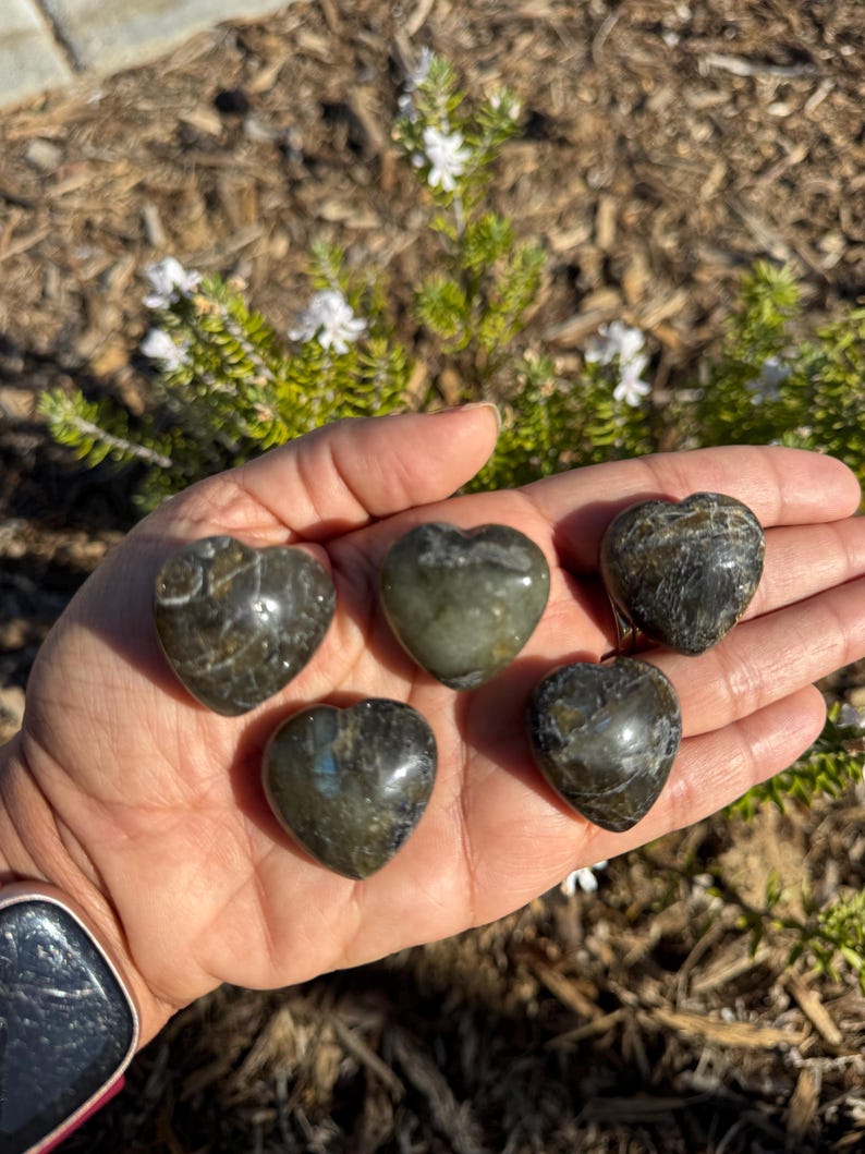 May include: Five heart-shaped labradorite stones in various shades of green and black. The stones are smooth and polished, with a slight sheen.