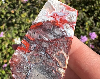Crazy Lace Agate Free Forms • Red Mexican Crazy Lace Agate