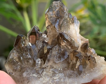 Smoky Quartz Points • Natural Smoky Quartz • Raw Crystals • Genuine Crystals • Real Smoky Quartz Points • Natural Crystals • Smoky Quartz