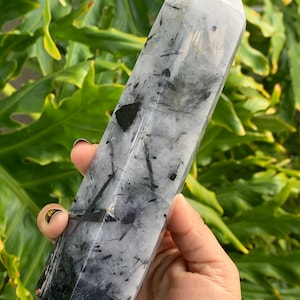 Tourmalinated Quartz • Black Tourmaline • Black Tourmaline in Clear Quartz • Black Tourmaline Rutilated Quartz • Black Tourmalinated Quartz