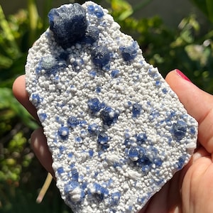 Blueberry Fluorite • Blue Fluorite on White Quartz • Rare Crystals • Blue Fluorite • Blueberry Fluorite • Blueberry Crystals • Blue Fluorite