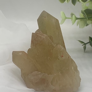 Natural Citrine • Raw Citrine • Unpolished Citrine Point Cluster