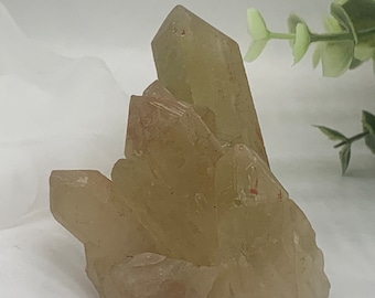 Natural Citrine • Raw Citrine • Unpolished Citrine Point Cluster