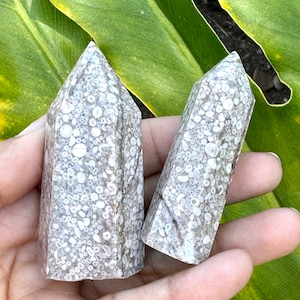 May include: Two white and brown fossilized coral crystal points. The points are smooth and have a natural, organic look.
