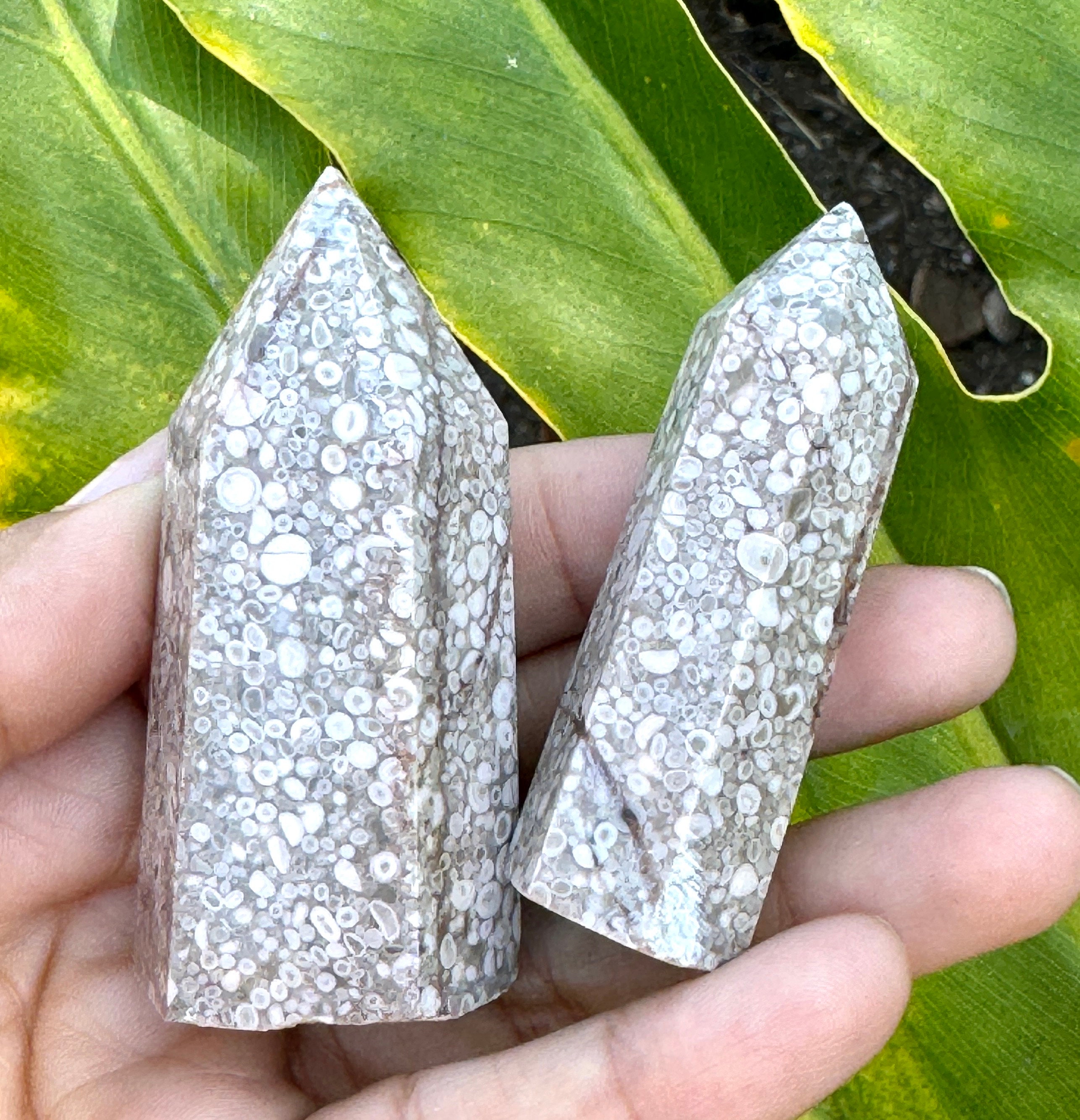 パワーストーン Fossilized Coral Jasper Tower • Coral Jasper • Coral Jade • Fossil