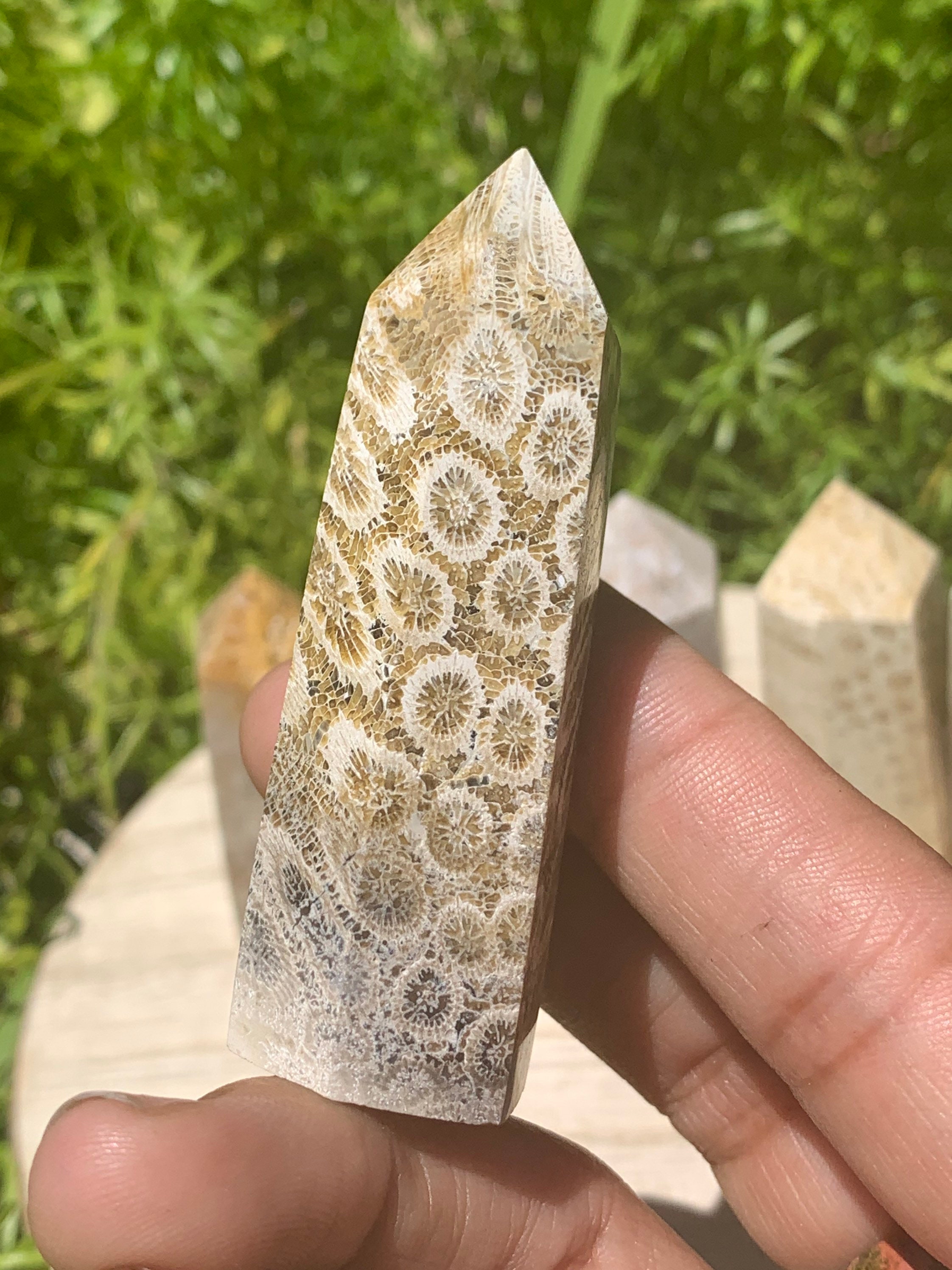 Coral Jasper Towers Fossil Coral Towers Fossilized Coral Etsy