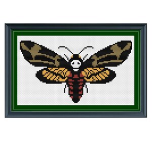 May include: A framed cross-stitch embroidery of a death's-head hawkmoth, a black and brown moth with a skull-like pattern on its thorax, against a white background.