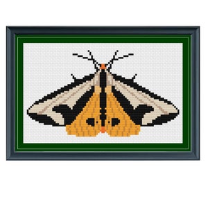May include: A framed cross-stitch embroidery of a moth with black, white, orange, and brown wings.