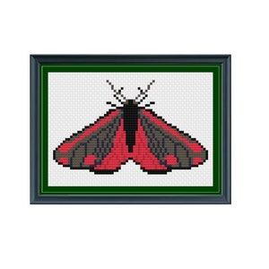 May include: A framed cross-stitch embroidery depicting a red and black moth with detailed wing patterns.