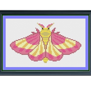 Rosy Maple Moth Cross Stitch Pattern